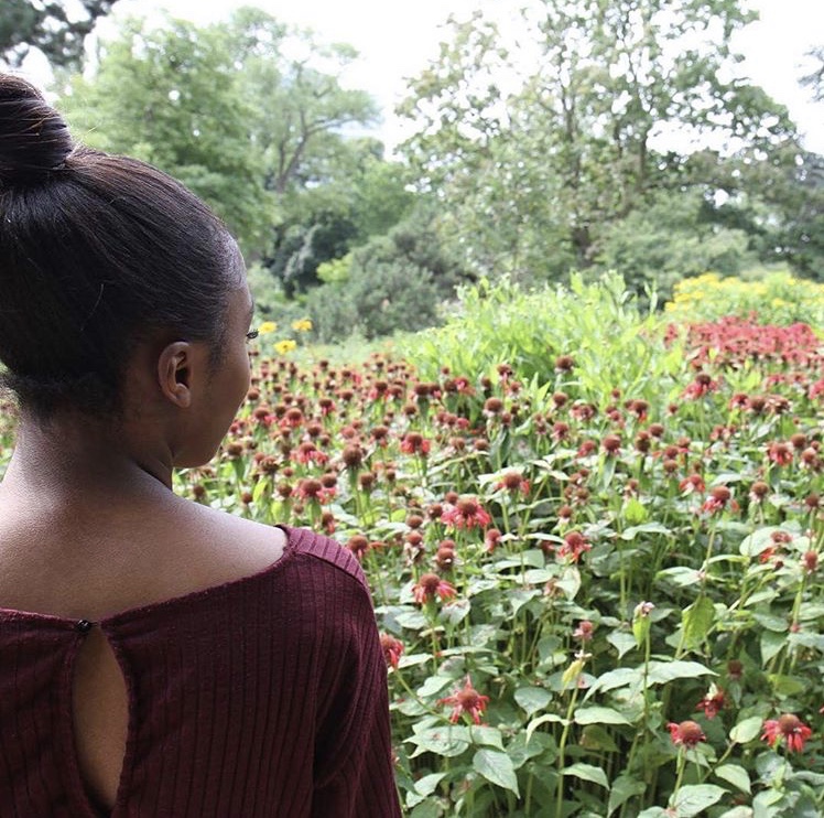 Die Schönheit der Natur