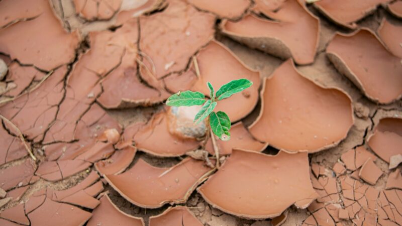 Ein Neues Bild von Neuanfängen